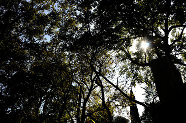 GIARDINI della BIENNALE a Venezia. Foto di Giulio Azzarello &copy;2015 2016.