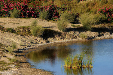 PAESAGGIO SICILIANO nel luogo delle macalube in Sicilia. Fotografie di Giulio Azzarello &copy;2014.