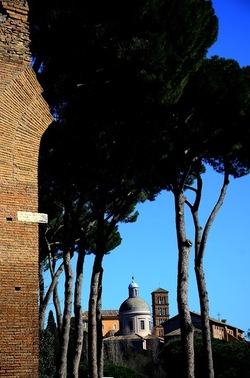 PARCO ARCHEOLOGICO DEL PALATINO Roma. Fotografie di Giulio Azzarello ©2020.
