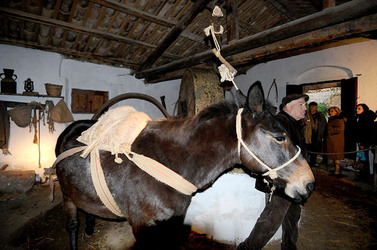 IL PRESEPE VIVENTE DI CUSTONACI in Sicilia. Fotografie di Giulio Azzarello ©2014. IL PRESEPE VIVENTE DI CUSTONACI in Sicilia. Fotografie di Giulio Azzarello ©2014.
