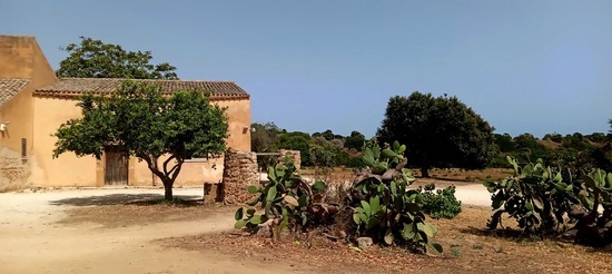PARCO ARCHEOLOGICO DI SELINUNTE. Fotografie di Giulio Azzarello ©2023.