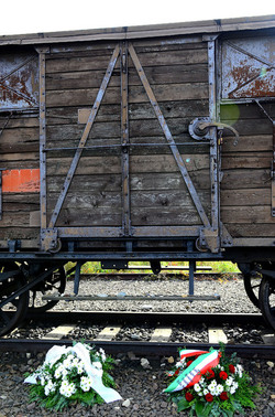 AUSCHIWITZ BIRKENAU il luogo della storia il campo. Fotografie di Giulio Azzarello &copy;2016.