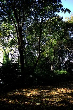 VENEZIA Giardini della Biennale di Arch. Cont.. Fotografie di Giulio Azzarello ©2022.