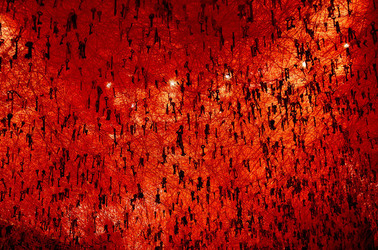 BIENNALE di VENEZIA padiglione giapponese. Foto di Giulio Azzarello &copy;2015 2016. Opera di Chiharu Shiota The KEY in the HAND .