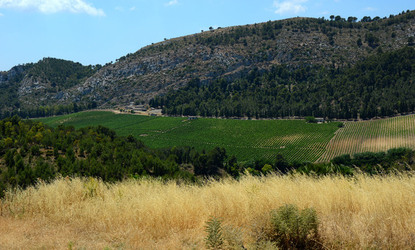 SEGESTA in Sicilia sito archeologico. Fotografie di Giulio Azzarello ©2014.