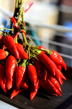 PEPERONCINO fotografie di Giulio Azzarello ©2014. PEPERONCINO fotografie di Giulio Azzarello ©2014.