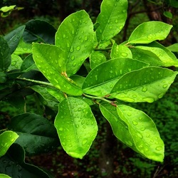 AUTUNNO fotografie di Giulio Azzarello ©2021. AUTUNNO fotografie di Giulio Azzarello ©2021.