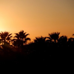 SELINUNTE. Fotografie di Giulio Azzarello ©2022. SELINUNTE. Fotografie di Giulio Azzarello ©2022.