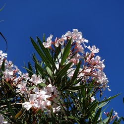 SAN VITO LO CAPO. Fotografie di Giulio Azzarello &copy;2023.