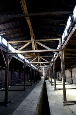 AUSCHWITZ BIRKENAU il percorso della memoria e i documenti. Fotografie di Giulio Azzarello &copy;2016.