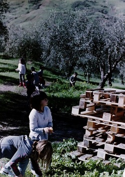 DIGITALIZZAZIONI fotografie di Giulio Azzarello &copy;2020.