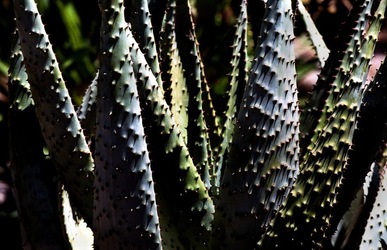 DIGITALIZZAZIONI fotografie di Giulio Azzarello &copy;2020.