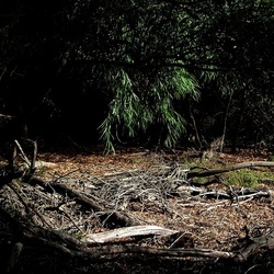 SELINUNTE. Fotografie di Giulio Azzarello ©2022. SELINUNTE. Fotografie di Giulio Azzarello ©2022.