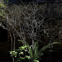 Arabo Normanno. Fotografie di Giulio Azzarello ©2024. Arabo Normanno. Fotografie di Giulio Azzarello ©2024.