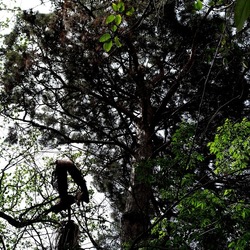ORTO BOTANICO. Fotografie di Giulio Azzarello &copy;2024.