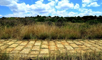 SELINUNTE sito archeologico. Fotografie di Giulio Azzarello ©2018. SELINUNTE sito archeologico. Fotografie di Giulio Azzarello ©2018.