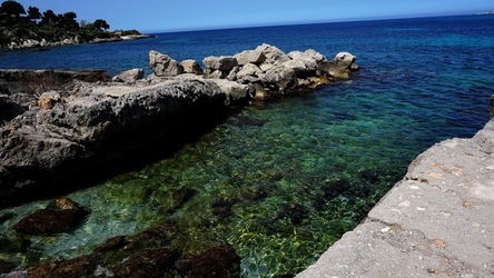 BAIA DEL CORALLO. Fotografie di Giulio Azzarello &copy;2022.