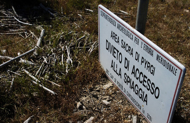 ARTE CONTEMPORANEA A PIRGI sito e riserva archeologica. Fotografie di Giulio Azzarello &copy;2014.