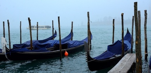 BIENNALE di VENEZIA 2017 la citt&agrave; particolari. Fotografie di Giulio Azzarello &copy;2018.