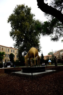 BIENNALE ARTI CONTEMPORANEE DI VENEZIA fotografie di Giulio Azzarello ©2020.