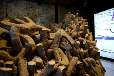 VENEZIA Padiglione Emirati Arabi Arsenale. Biennale Arch. Cont. Fotografie di Giulio Azzarello &copy;2022.