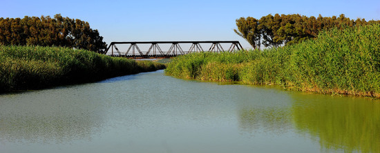 CANNETI in SICILIA. Fotografie di Giulio Azzarello &copy;2016.