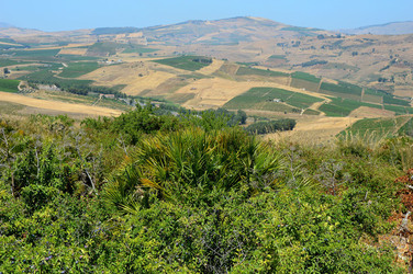 SEGESTA in Sicilia sito archeologico. Fotografie di Giulio Azzarello ©2014.