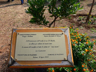 GIARDINO DELLA MEMORIA in Sicilia. Fotografie di Giulio Azzarello &copy;2014.