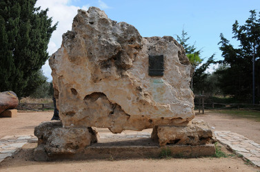 LUIGI PIRANDELLO il parco e la casa museo. Fotografie di Giulio Azzarello ©2014.