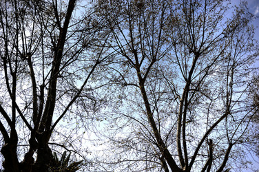 VILLA BONANNO a Palermo. Fotografie di Giulio Azzarello &copy;2016.