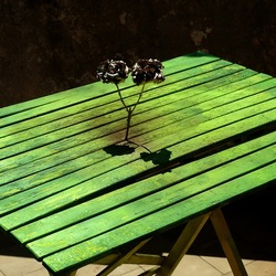 METALLICO. Fotografia di Giulio Azzarello &copy;2023.