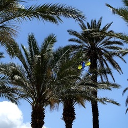 SAN VITO LO CAPO. Fotografie di Giulio Azzarello &copy;2023.