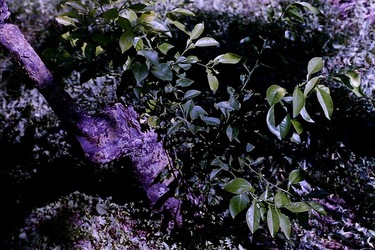 DIGITALIZZAZIONI fotografie di Giulio Azzarello &copy;2020.