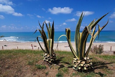 CEFALU e il suo Duomo in Sicilia. Fotografie di Giulio Azzarello &copy;2014.
