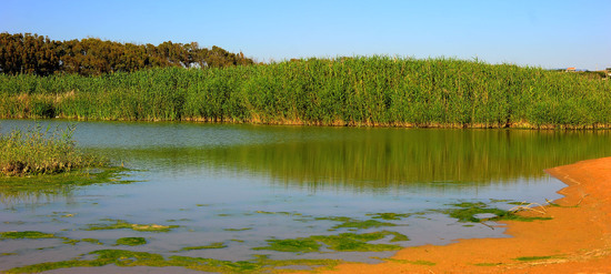 CANNETI in SICILIA. Fotografie di Giulio Azzarello &copy;2016.
