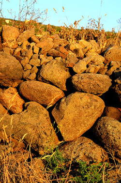 ISOLA DI USTICA pietre. Fotografie di Giulio Azzarello &copy;2016.