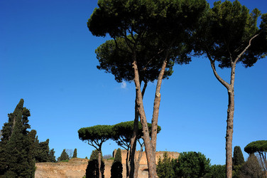 LE TERME DI CARACALLA a Roma visioni panoramiche o particolari. Fotografie di Giulio Azzarello &copy;2014.