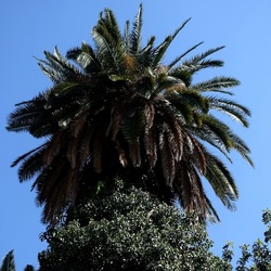 Arabo Normanno. Fotografie di Giulio Azzarello ©2024. Arabo Normanno. Fotografie di Giulio Azzarello ©2024.