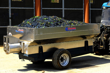AZIENDA VITIVINICOLA in Sicilia. Fotografie di Giulio Azzarello ©2016. AZIENDA VITIVINICOLA in Sicilia. Fotografie di Giulio Azzarello ©2016.