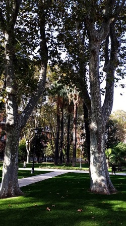 ROMA fotografie di Giulio Azzarello &copy;2022.