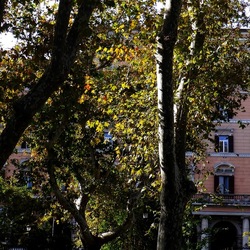 ROMA fotografie di Giulio Azzarello &copy;2022.