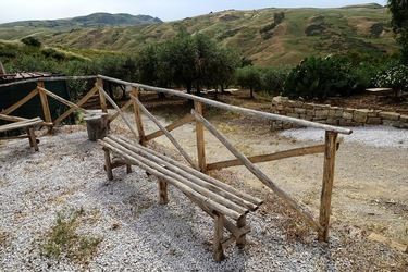 ULIVETO SICILIANO. Fotografie di Giulio Azzarello ©2022.