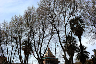 VILLA BONANNO a Palermo. Fotografie di Giulio Azzarello &copy;2016.