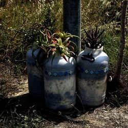 ZISA. Fotografie di Giulio Azzarello &copy;2023.