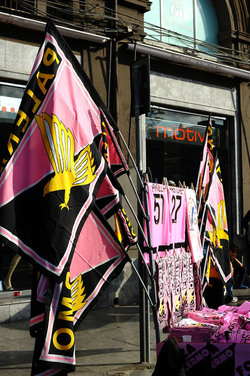 I TIFOSI DEL PALERMO CALCIO in piazza per festeggiare. Fotografie di Giulio Azzarello ©2014. I TIFOSI DEL PALERMO CALCIO in piazza per festeggiare. Fotografie di Giulio Azzarello ©2014.
