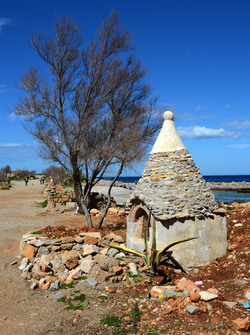 CAPO GALLO riserva marina e naturalistica a Palermo panoramiche e particolari. Fotografie di Giulio Azzarello ©2014. CAPO GALLO riserva marina e naturalistica a Palermo panoramiche e particolari. Fotografie di Giulio Azzarello ©2014.
