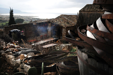IL PRESEPE VIVENTE DI CUSTONACI in Sicilia. Fotografie di Giulio Azzarello ©2014. IL PRESEPE VIVENTE DI CUSTONACI in Sicilia. Fotografie di Giulio Azzarello ©2014.