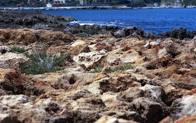SCOGLIERA ROSSA fotografie di Giulio Azzarello &copy;2021.