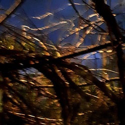 INVERNO. Fotografie di Giulio Azzarello &copy;2023.