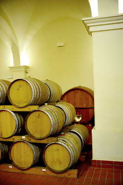 BOTTI per il vino. Fotografie di Giulio Azzarello ©2016. BOTTI per il vino. Fotografie di Giulio Azzarello ©2016.